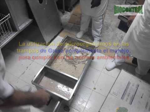 Dosificación Biológica Eficaz para el Control de Grasas