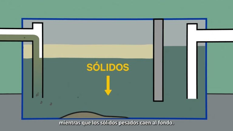 Control Eficiente de Grasas en la Cocina Doméstica