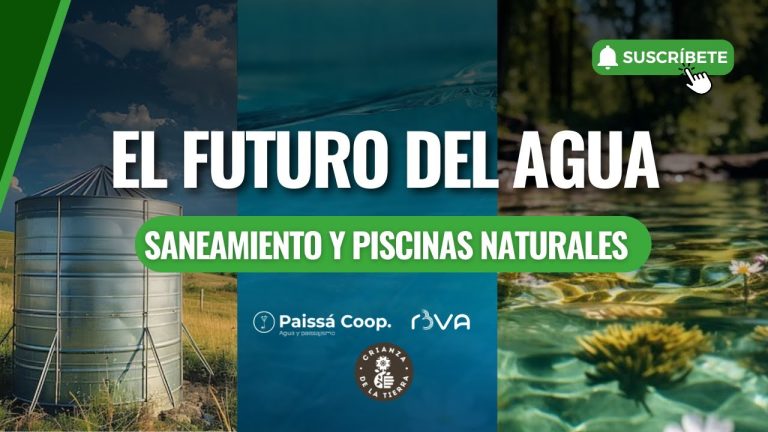 Checklist Semestral de Bajantes para Fincas de Verano